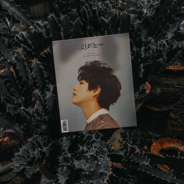 Kyuhyun - Album At Gwanghwamun