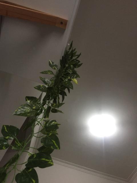 Daun Juntai Artificial