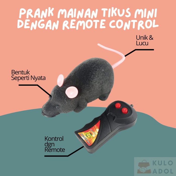 Prank Mainan Tikus Mini Pakai Remote Control Jalan Lucu Unik RC Mice Ngeprank Anak Kucing Anjing