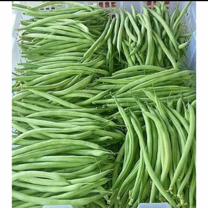 

BUNCIS - 1kg