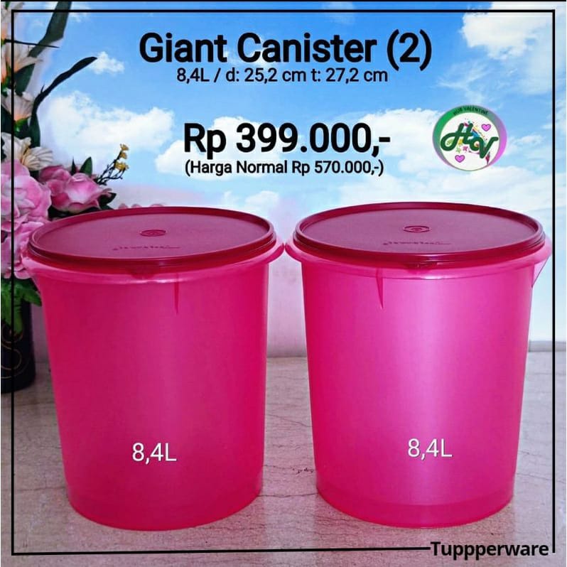 Giant Canister Butterfly 8.4 L  // Toples Besar Motif//Toples Jumbo Toples Krupuk//Ungu//Purple//ijo