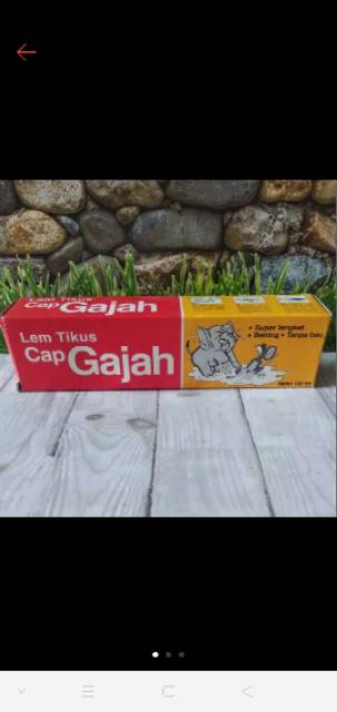 Lem tikus cap gajah murah lem tikus cap gajah papan