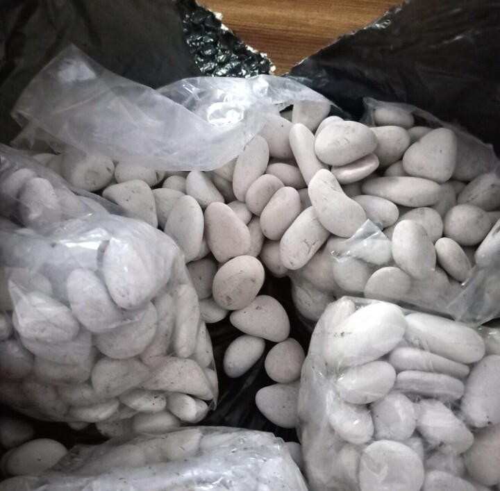 Batu Koral Putih Kupang