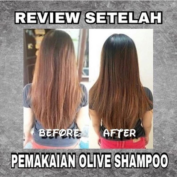 SYB olive shampo/olive conditioner