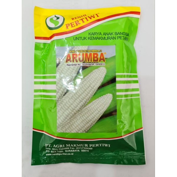 Bibit Jagung Ketan (Arumba)