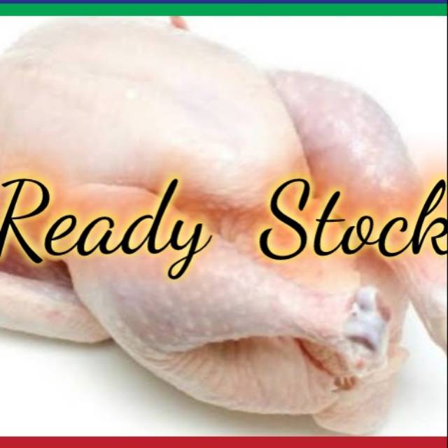 

Ayam broiler 1 ekor