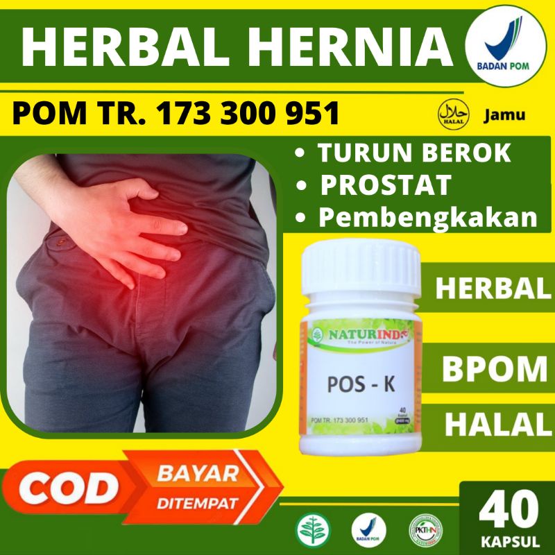 Obat Herbal Hernia Ampuh Herbal Turun Berok Kanker prostat