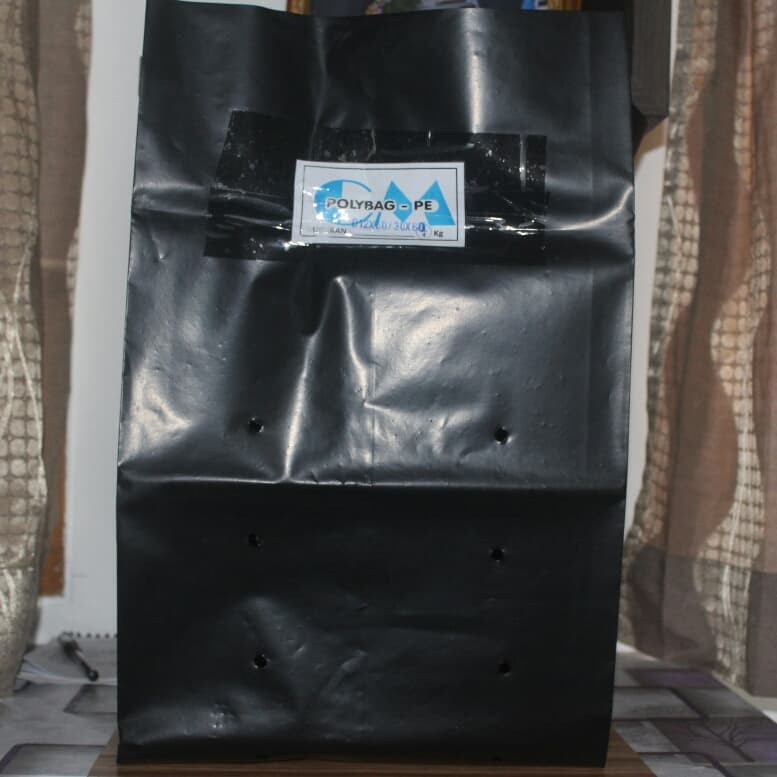 POLYBAG 60 X 60 CM / 1 KG "PE"