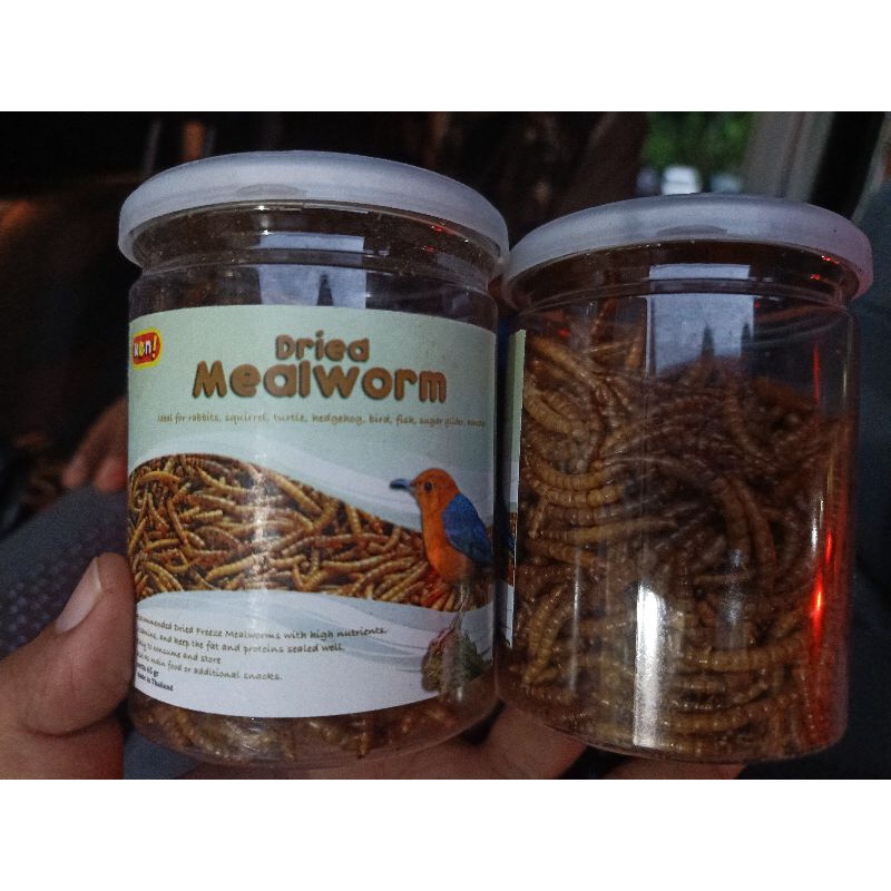 DRIED MEALWORM / ULAT HONGKONG KERING