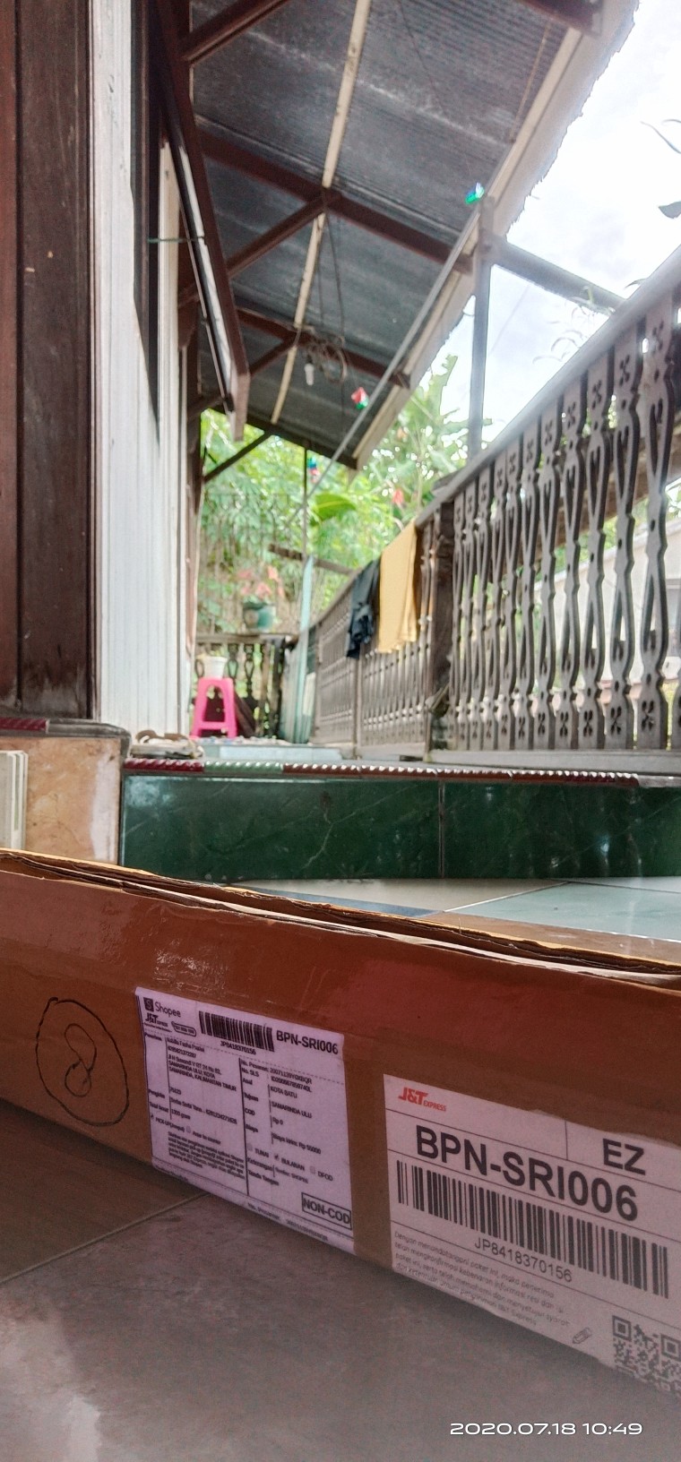 Bibit Tanaman Hias Daun Aglaonema Lipstiksian Aurora