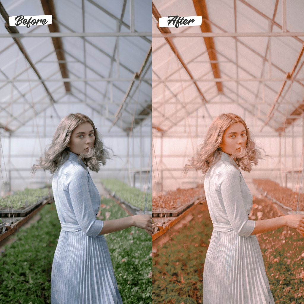 Lightroom Preset Retro IOS/Android and Dekstop