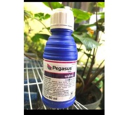 PEGASUS syngenta 500sc ( 80 ml )