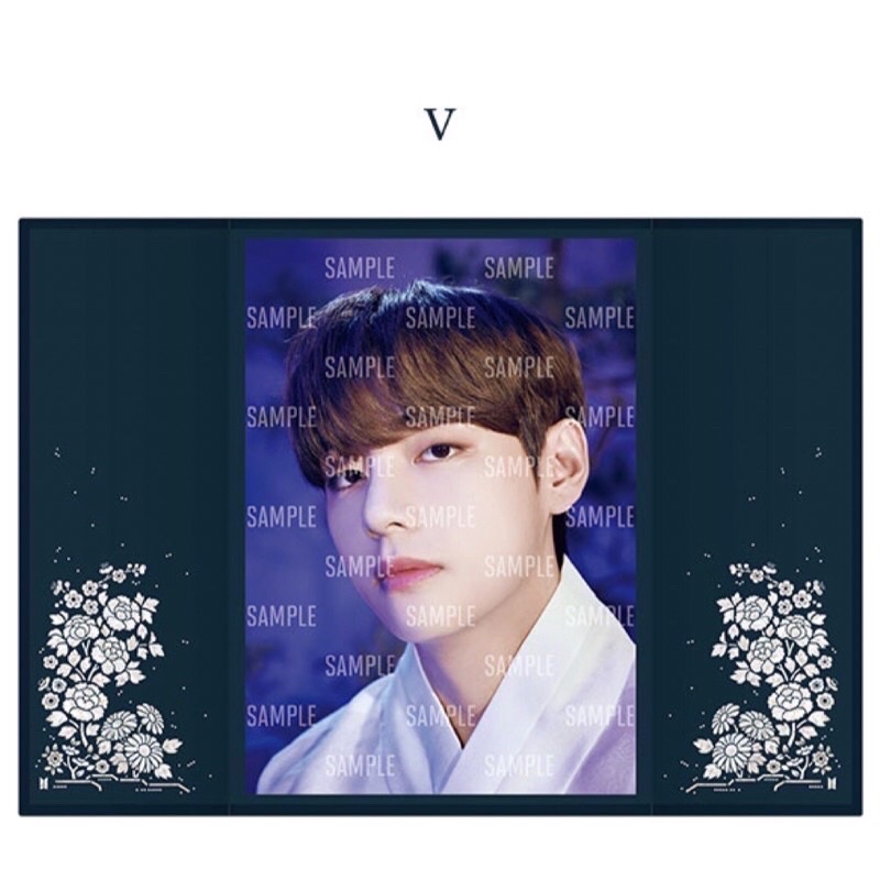 READY DALMAJUNG BTS flip photo night taehyung