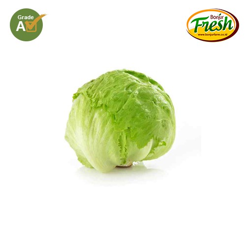 

Sayur - Lecutte Head