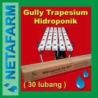 GULLY TRAPESIUM HIDROPONIK (30 lubang) - TANPA RAK !