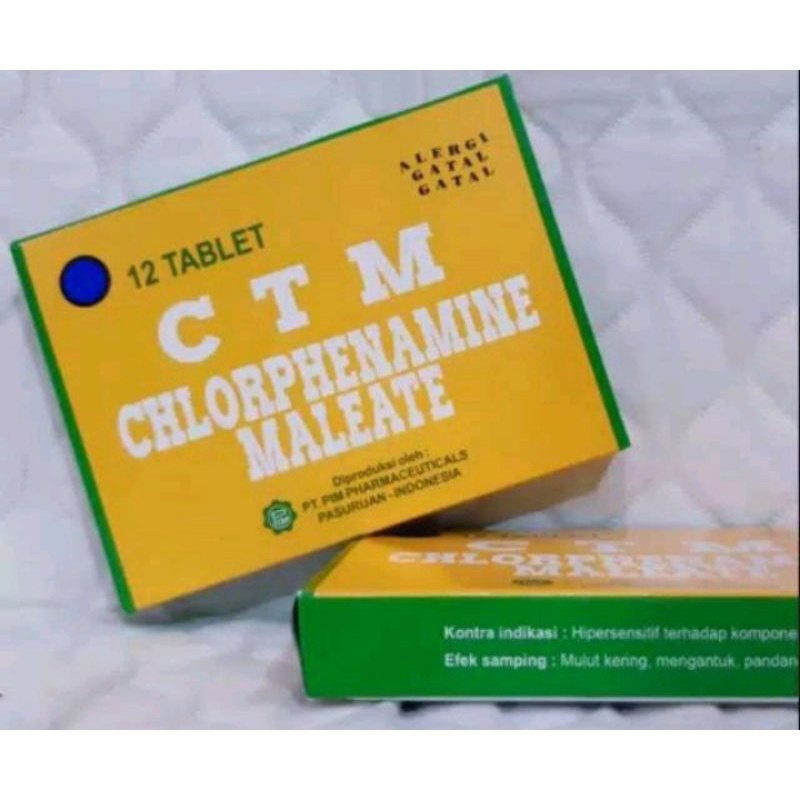 ctm anti alergi obat gatal 1box per strip