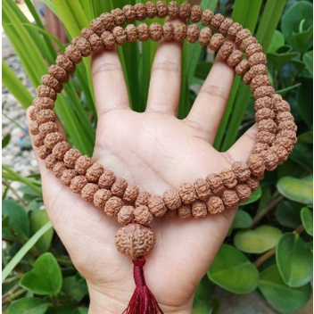 Tasbih Kalung Gelang Japamala rudraksha Rudraksa 108 bandul ganesha original asli jenitri genitri as