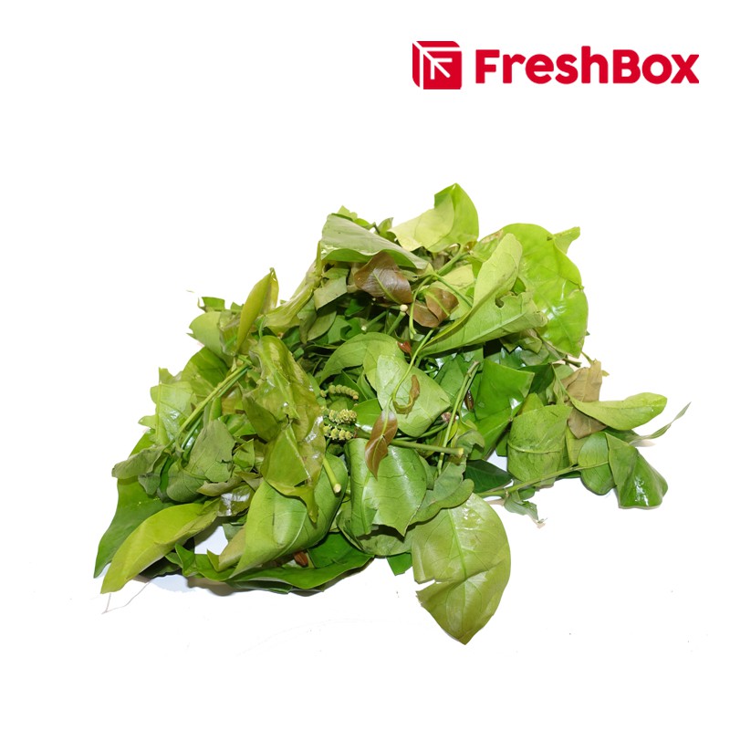 

Daun Melinjo 200gr FreshBox