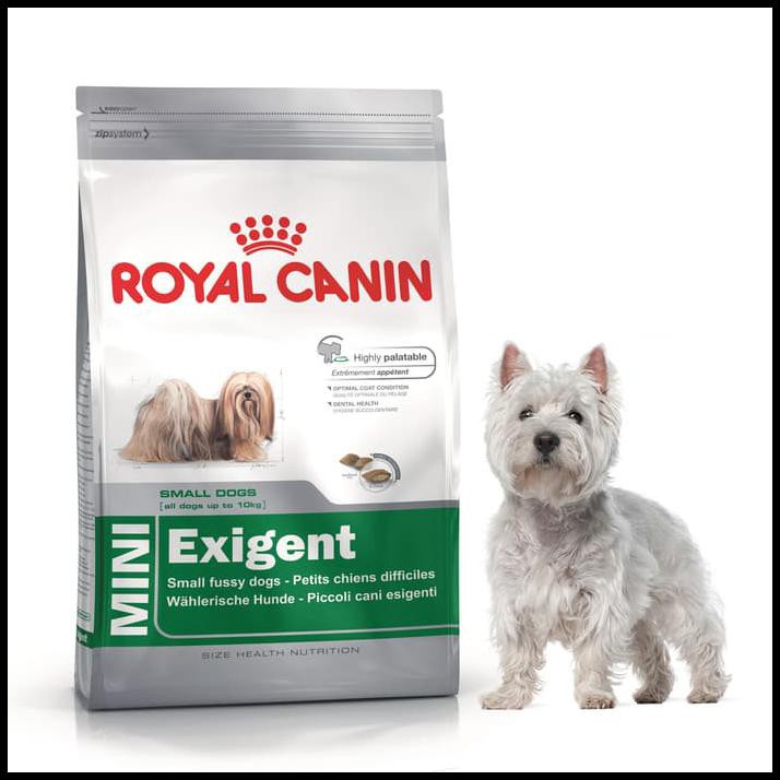 royal canin exigent small dogs