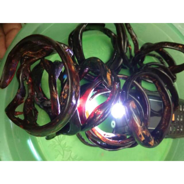 Bahan gelang akar bahar merah tembus senter