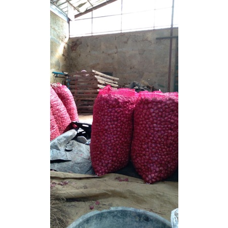 

bawang merah