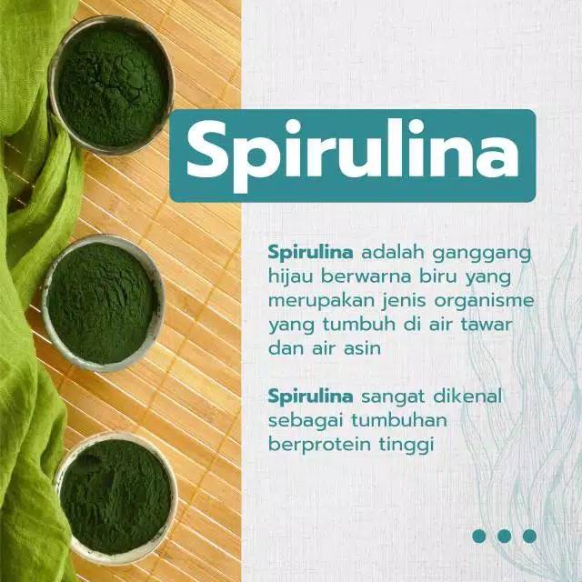MASKER SPIRULINA ORIGINAL BPOM