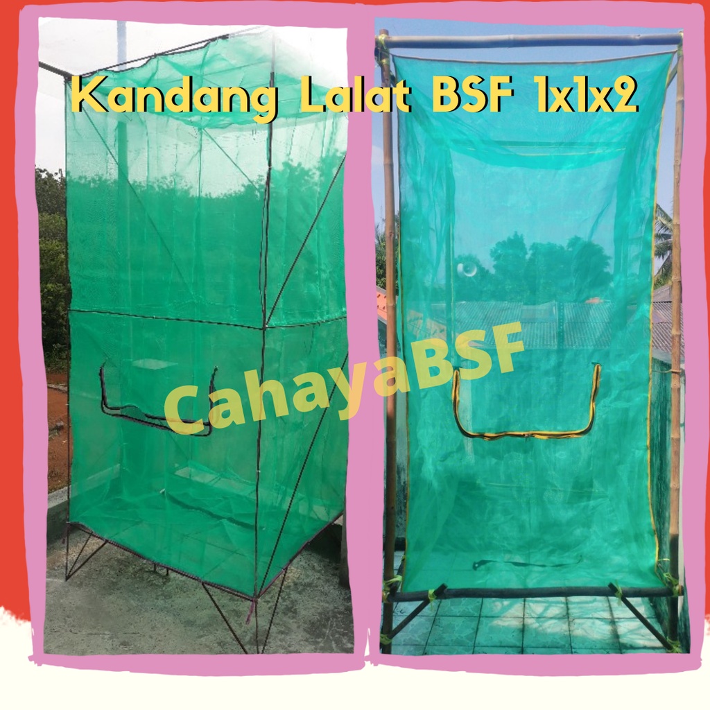 Kandang bsf magot lalat bsf portable murah