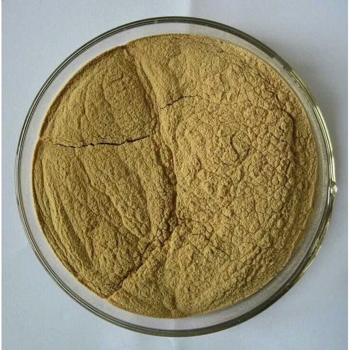 Bubuk Lengkuas 500 g Simplisia Serbuk Rimpang Laos Kuning Galangal Powder Langkuas