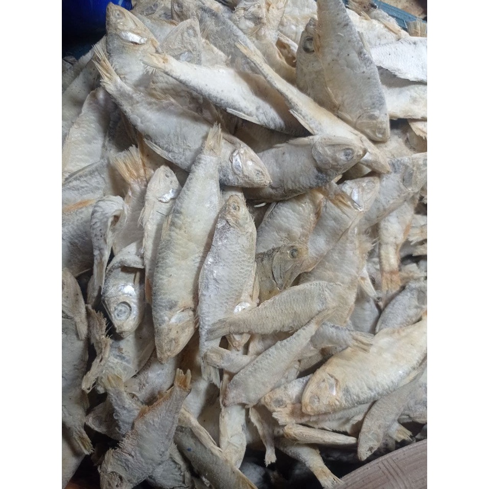 

Ikan Kresek Bulu Ayam /100gr