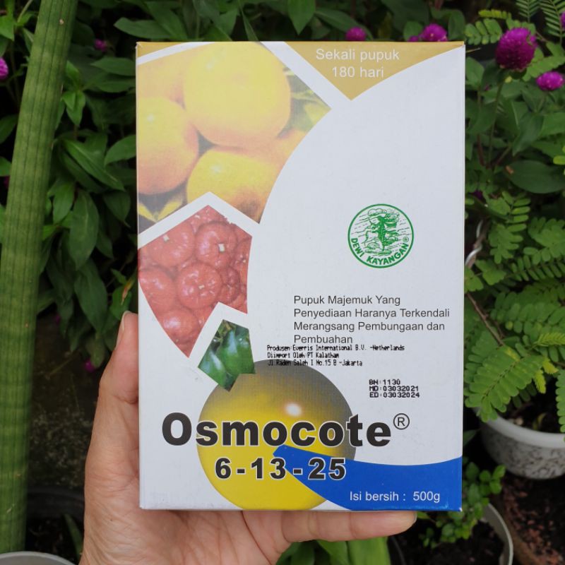 OSMOCOTE 500gr 13-13-13, 17-11-10, 6-13-25 pupuk dekastar decastar