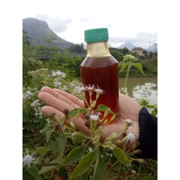 

MADU ASLI !!! HUTAN LIAR LANCENG DAN GUNG