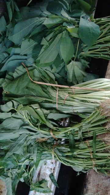 Holesaw Set Hole Saw Kit 13 Pcs Pelubang Kayu Pvc 13 Pcs Hidroponik Holesaw Kit Carbon Steel 13pc