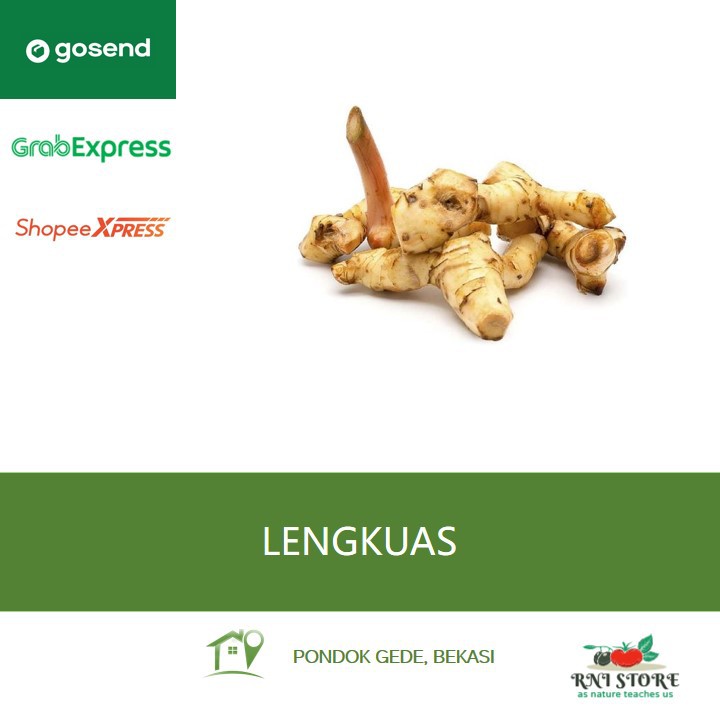 

Rempah - Lengkuas 250 gram