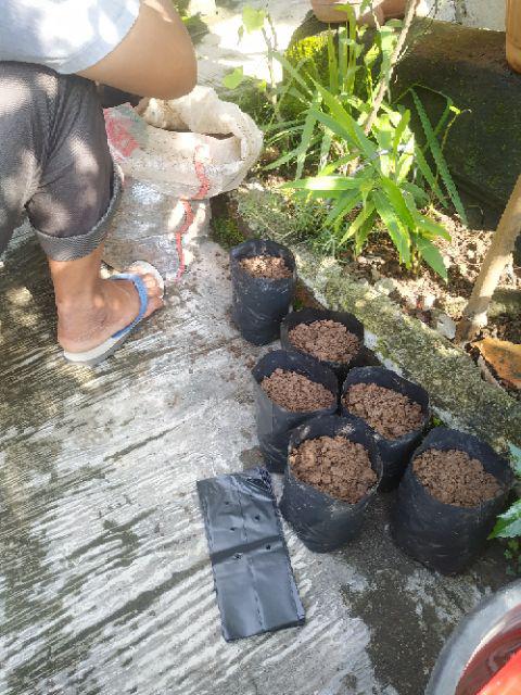 [100 Pcs] Polybag Ukuran 10 Cm X 10 Cm