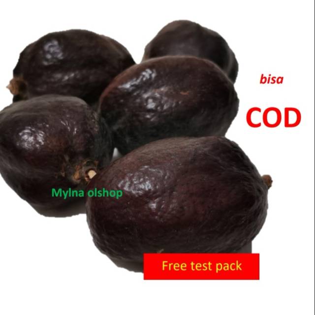 

250 gr buah zuriat madinah untuk promil COD