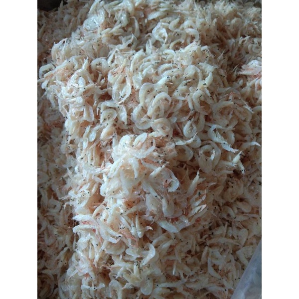 

rebon asin