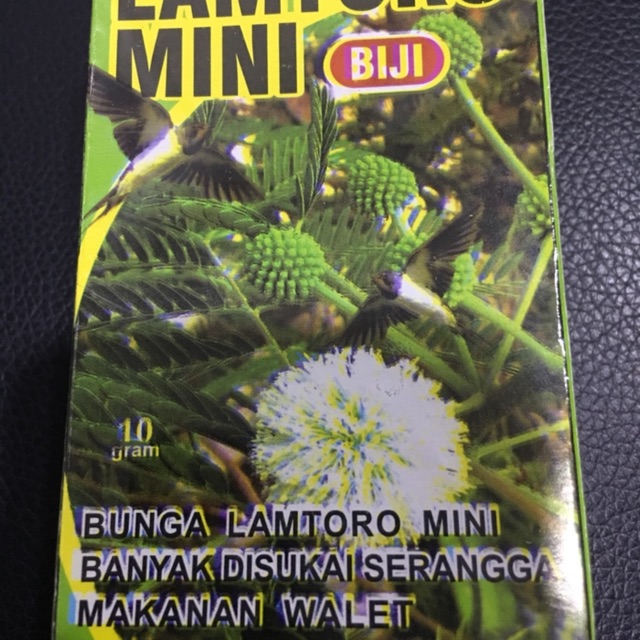 Biji Lamtoro penghasil serangga makanan kesukaan walet seriti / makanan burung walet / makanan burun