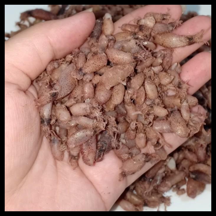 

DISKON TERBATAS !!! BABY CUMI 500 GRAM TERLARIS