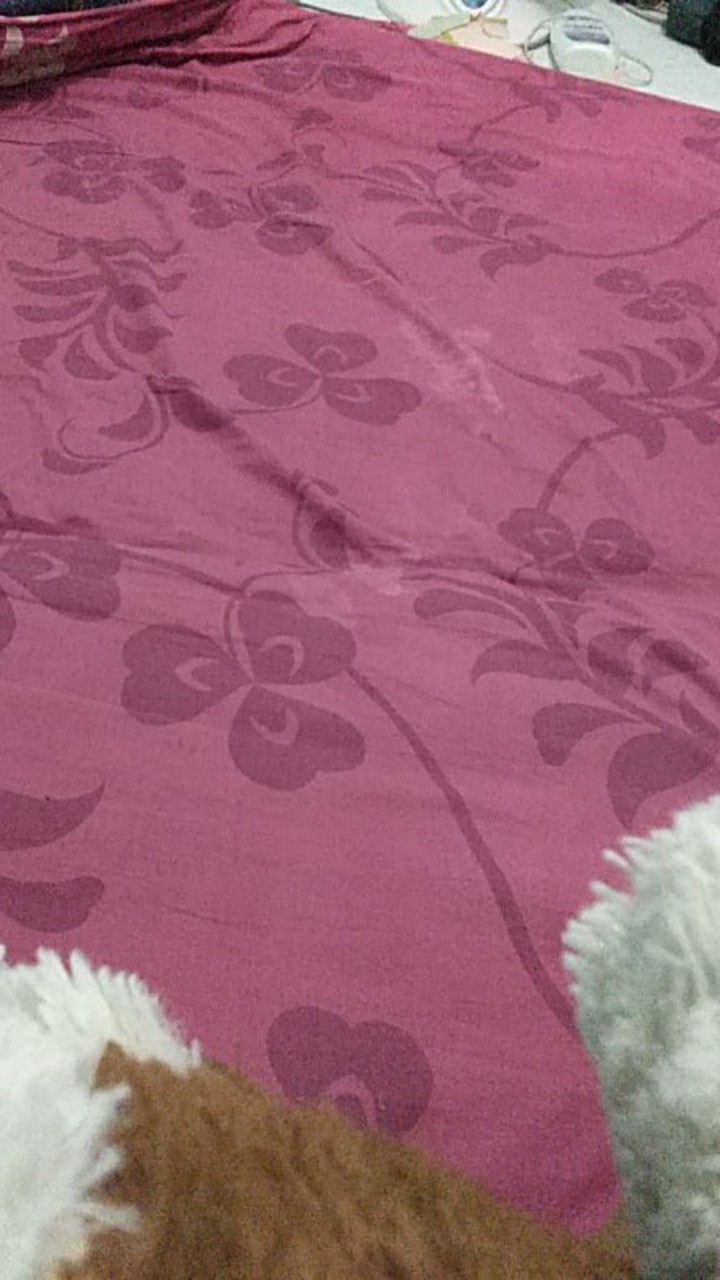 [isi 3 Pcs] Keranjang Parsel Buah