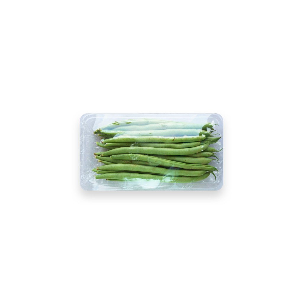 

SAYUR ORGANIK Buncis Lokal
