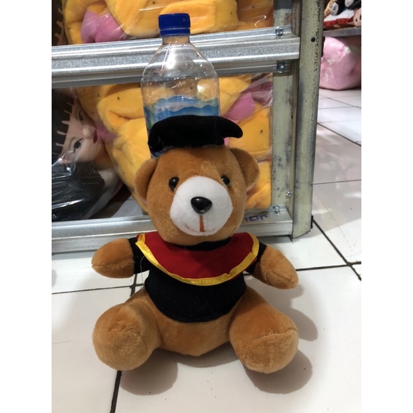 Boneka Beruang Wisuda Hadiah Wisuda SNI