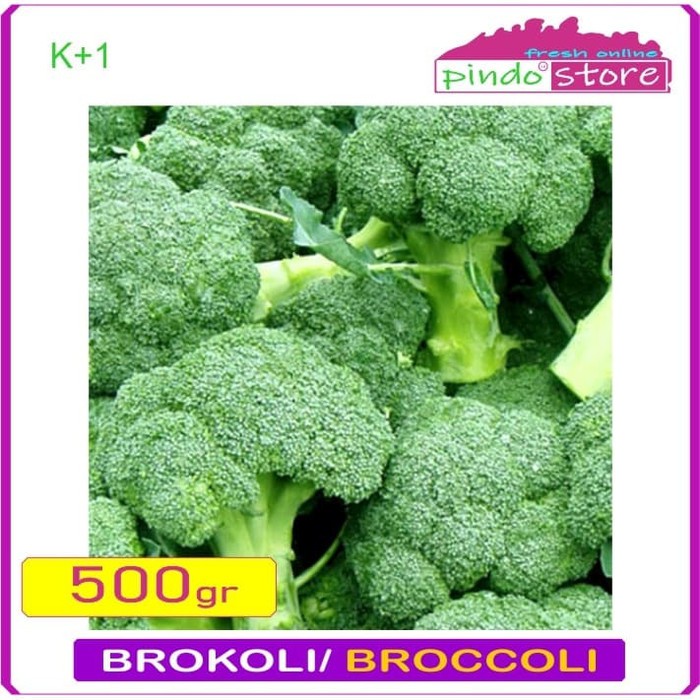 

BROKOLI SEGAR/ SAYUR BROKOLI HIJAU / BROCCOLI FRESH