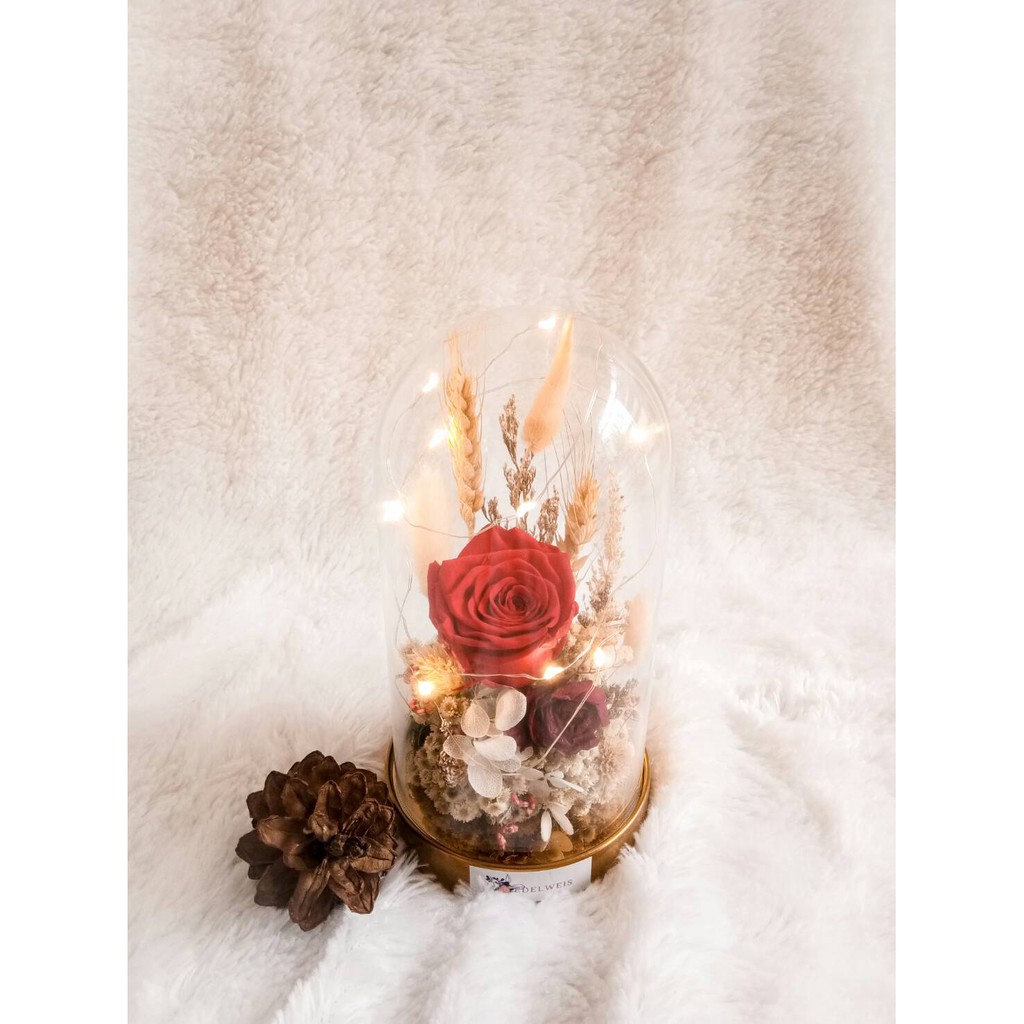 FLOWERS DOME/ BUNGA DALAM TABUNG / DRIED FLOWERS DOME