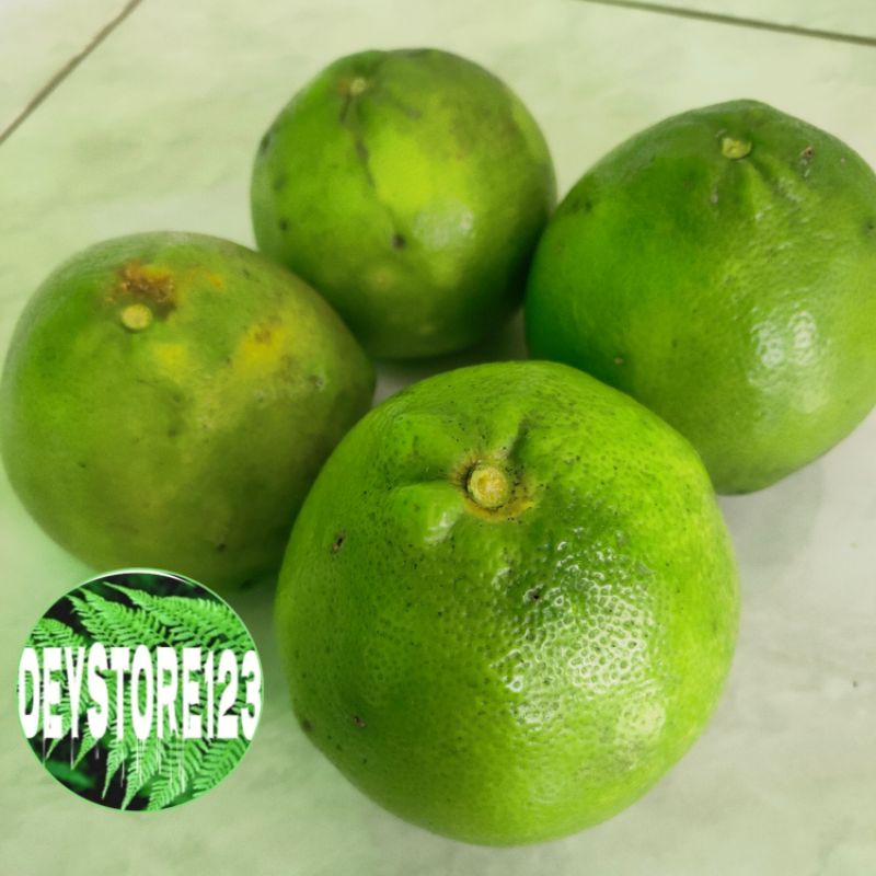 

Jual Buah Jeruk Garut mini segar 1 kg