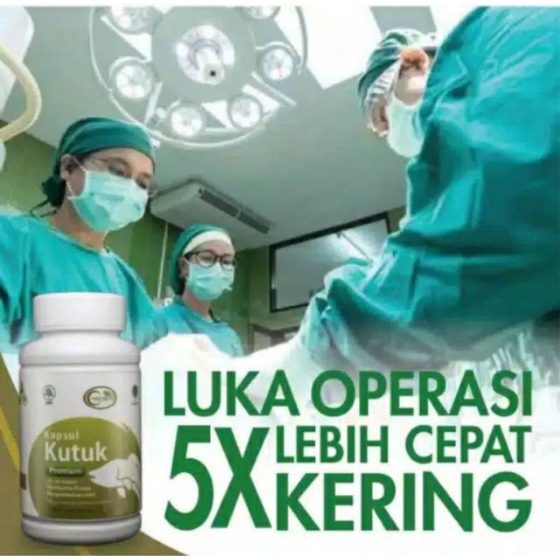 1KAPSUL KUTUK  Kapsul Kutuk Premium Ekstrak Albumin Pasca Operasi 5x Original