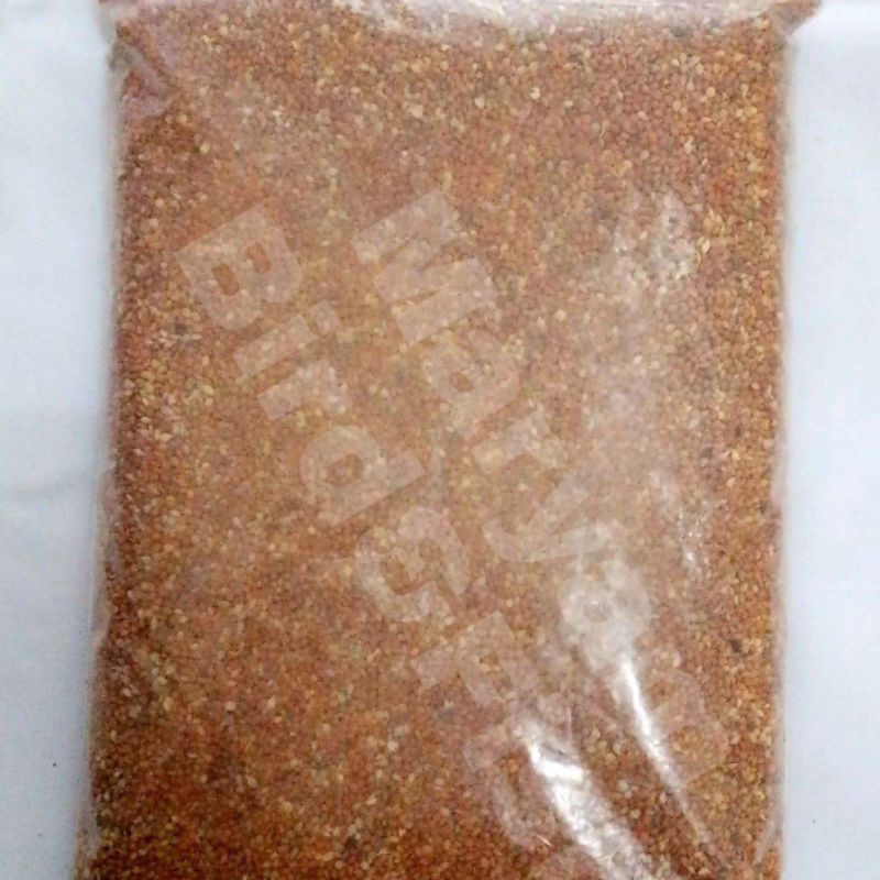 BIJI JEWAWUT JEWAWUT OTEK MILET PAKAN BURUNG PARKIT LOVEBIRD KENARI PERKUTUT Repack 500gr