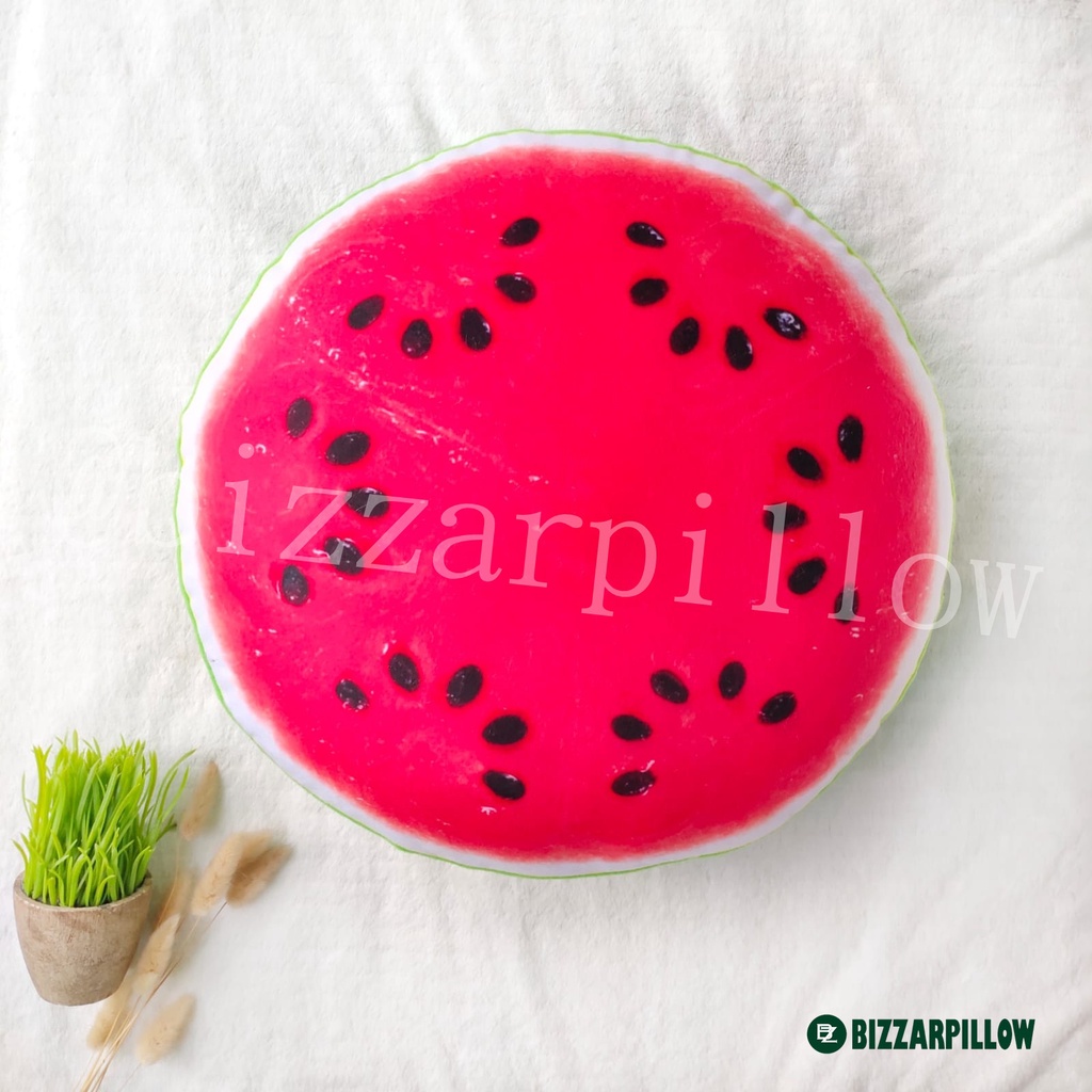 Bizzarpillow Bantal Sofa Bantal Buah Segar Size L BZ004