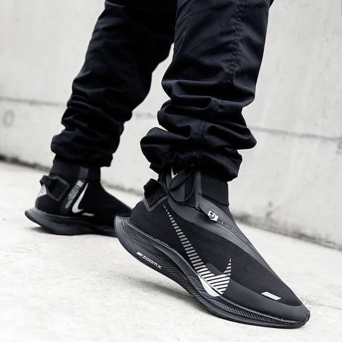 pegasus turbo shield wp