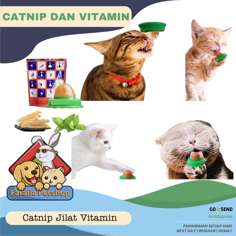 Mainan Kucing Jilat Catnip Tempel Dinding Snack Vitamin Cat Nip Pet Mint Kitten Vit