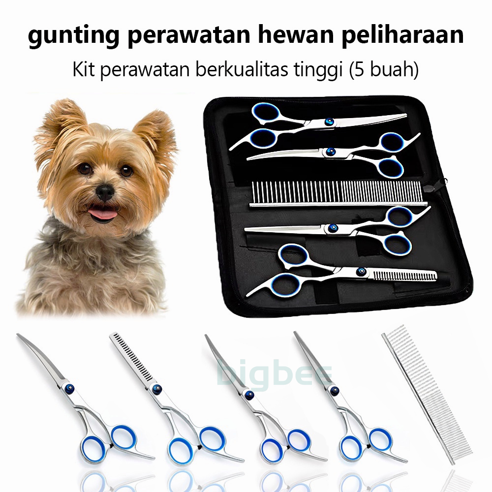 5 Pcs Dengan Sisir Grooming Gunting Set Perawatan Rambut Melengkung Berguna 6 Inci Anjing Kucing